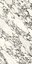 ARABESCATO-VIOLA_2-scaled.webp