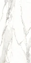 ABSOLUTE_2-scaled.webp