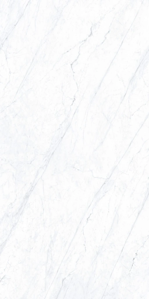 CARRARA_F2-scaled.webp