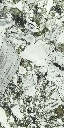 JADE_2-scaled.webp