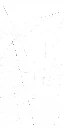 HERMON_2-scaled.webp