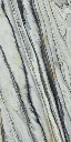 OYSTER-WILD-FOREST-2-low-scaled.webp