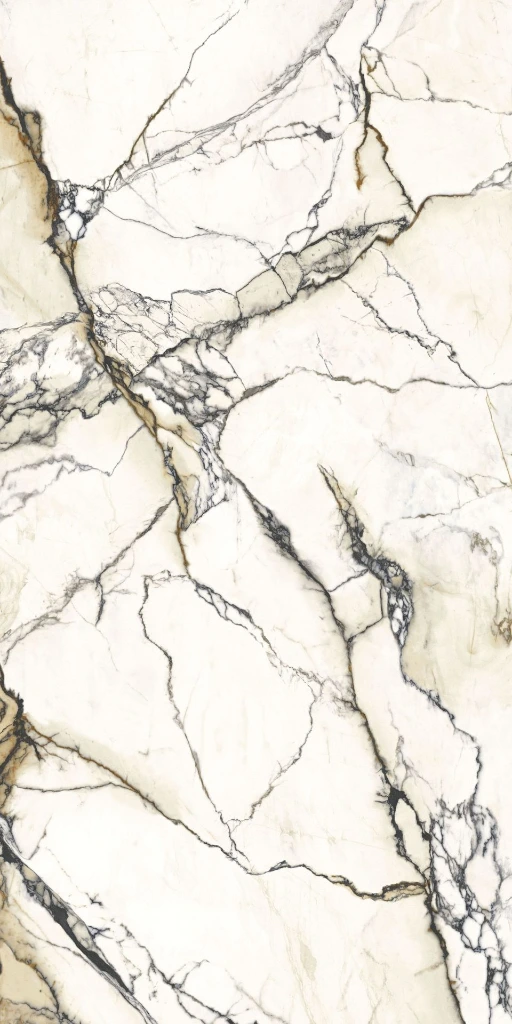 PAONAZZETTO_REALE_2-scaled.webp
