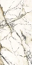 PAONAZZETTO_REALE_2-scaled.webp