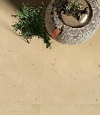 astro-gold-porcelain-stoneware-ambiente1.webp