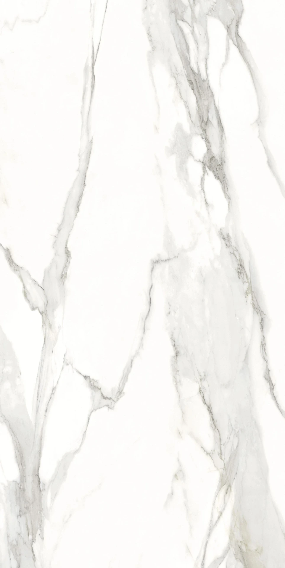 ABSOLUTE Porcelain Stoneware