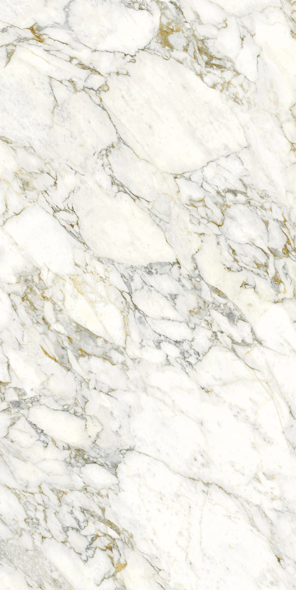 BALLET Porcelain Stoneware (6.5 mm, Polished)