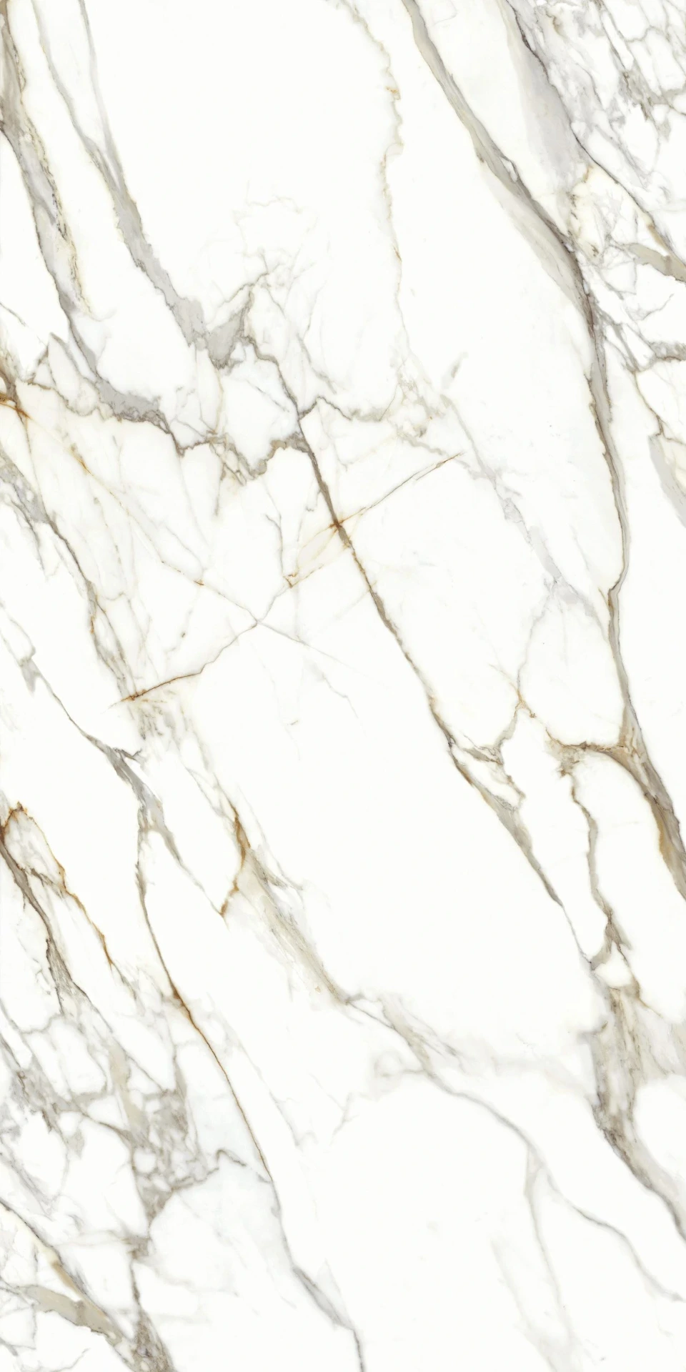 CALACATTA DORATO grés porcelânico