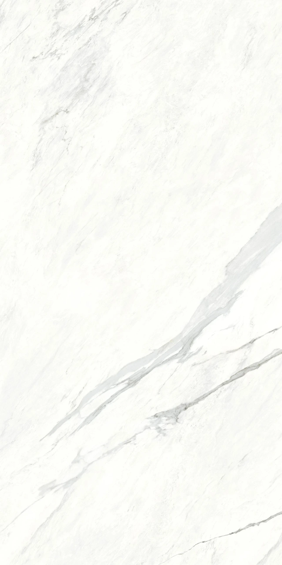CALACATTA WHITE Porcelain Stoneware