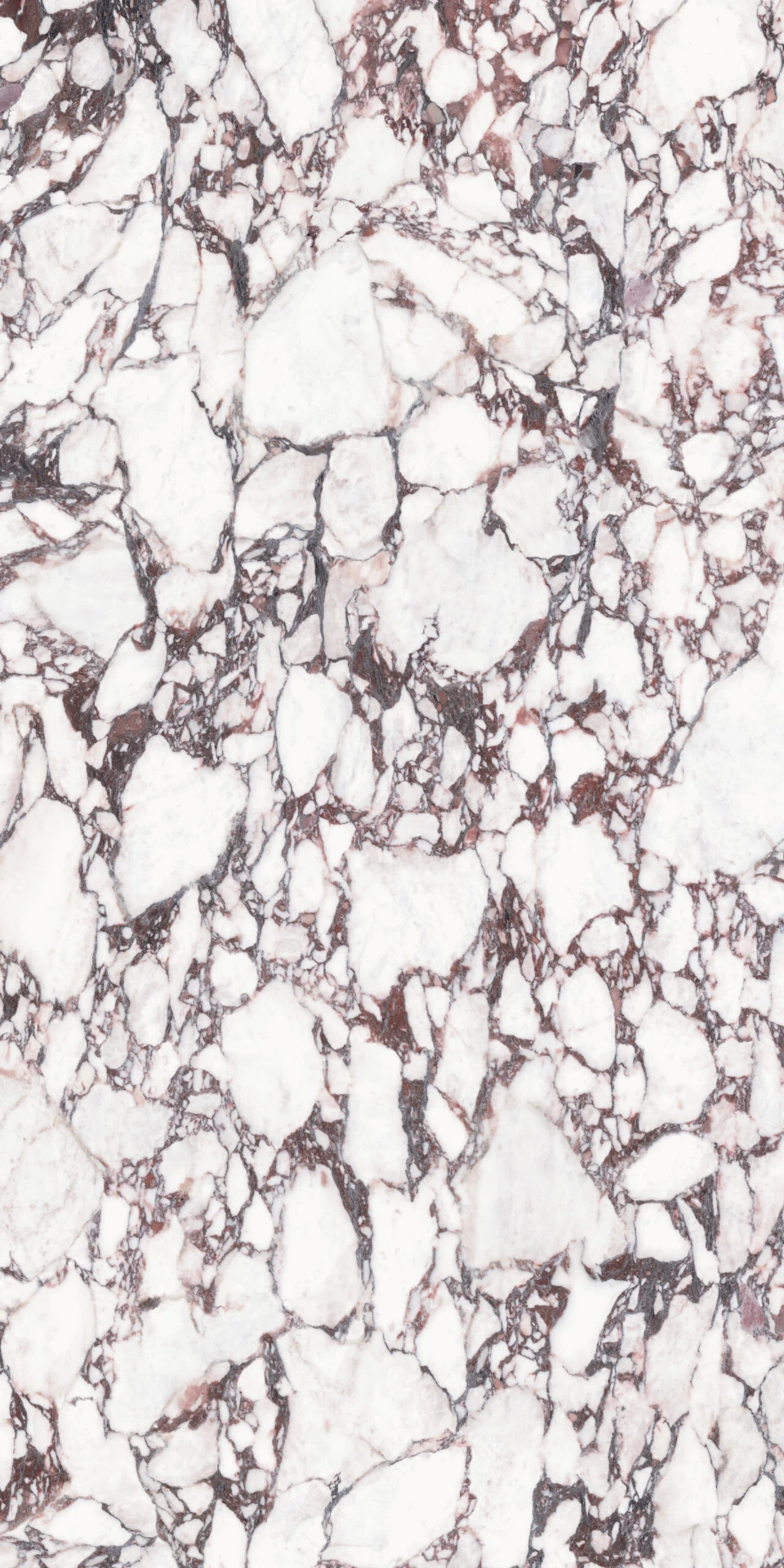 CALACATTA VIOLA Porcelain Stoneware (6.5 mm, Polished)
