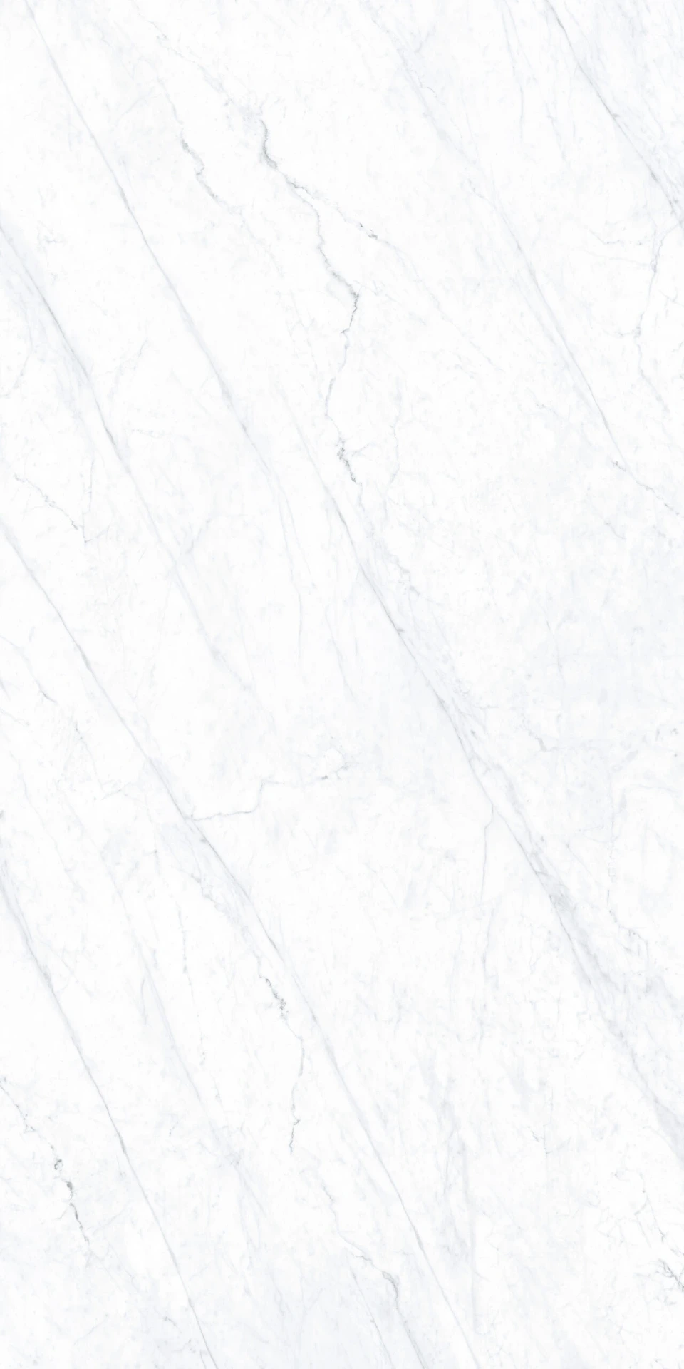 CARRARA grés porcelânico