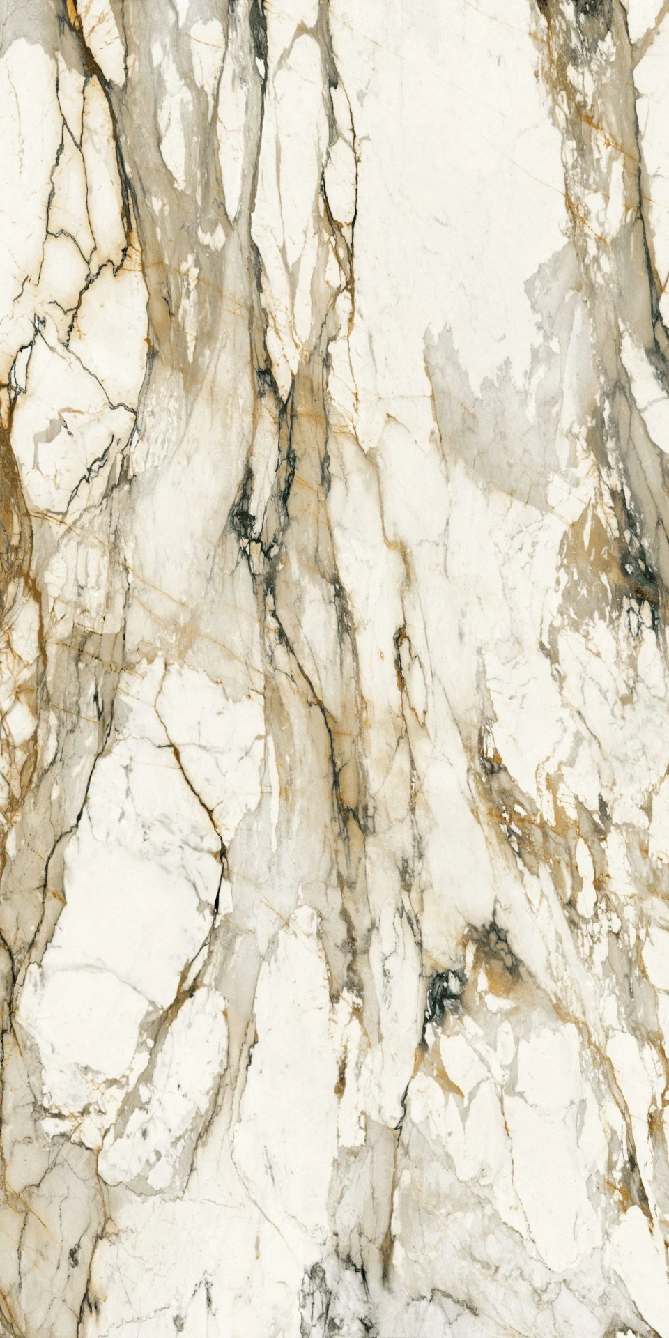 MARMO ANTICO Porcelain Stoneware