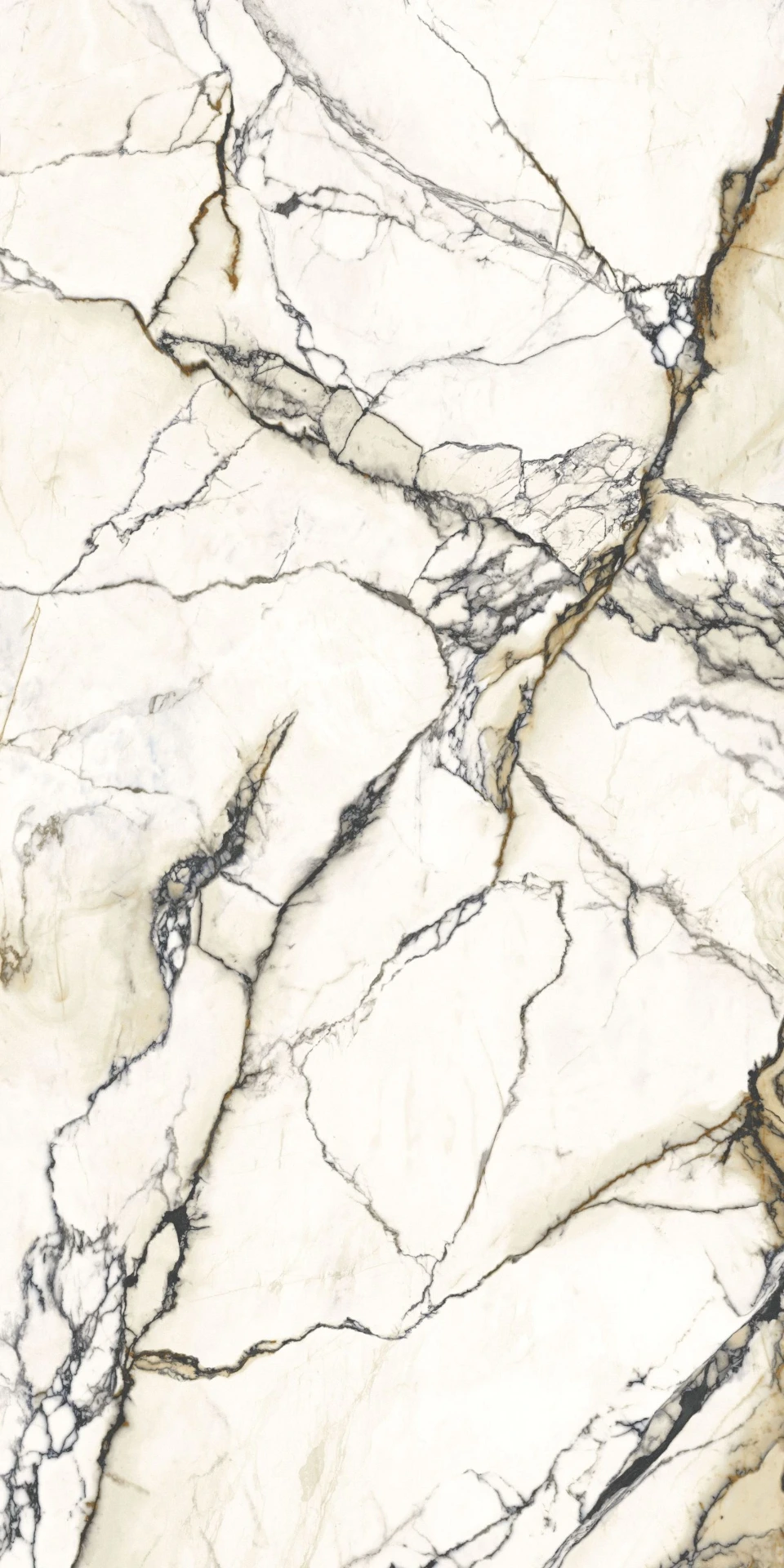 PAONAZZETTO REALE grés porcelânico