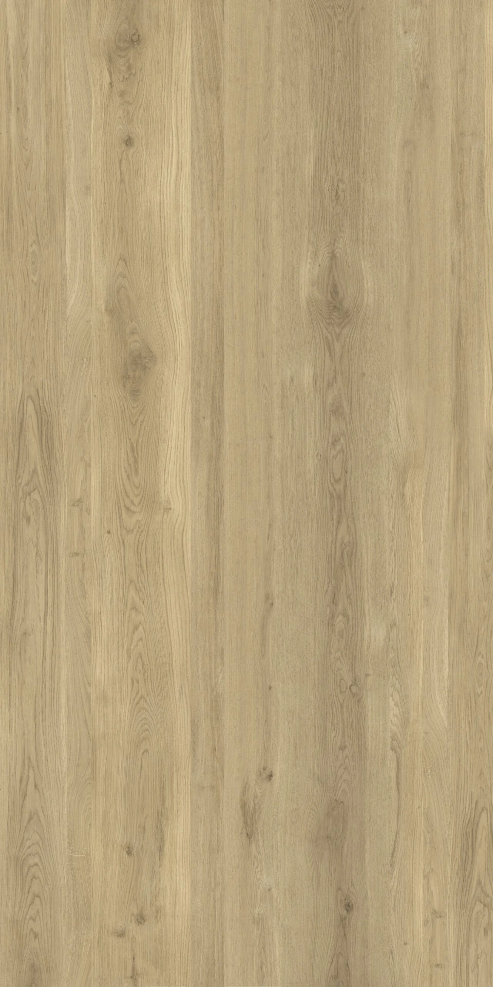 WOOD ESSENCE OAK grés porcelânico